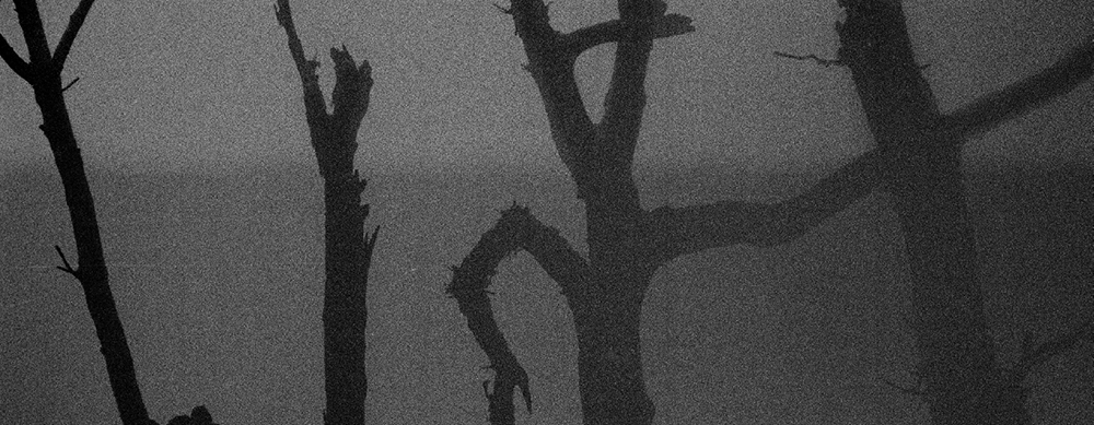 43 피안(彼岸), Gelatin Silver Print, 40x100inch, 2006