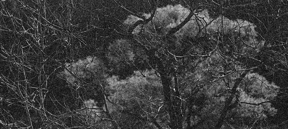 44 피안(彼岸), Gelatin Silver Print, 40x100inch, 2006