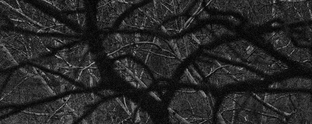 45 피안(彼岸), Gelatin Silver Print, 40x100inch, 2006