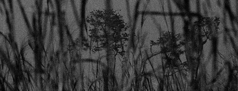 48 피안(彼岸), Gelatin Silver Print, 40x100inch, 2006