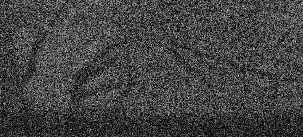 50 피안(彼岸), Gelatin Silver Print, 40x100inch, 2006