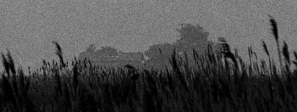 52 피안(彼岸), Gelatin Silver Print, 40x100inch, 2006