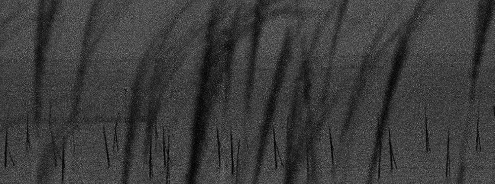 54 피안(彼岸), Gelatin Silver Print, 40x100inch, 2006