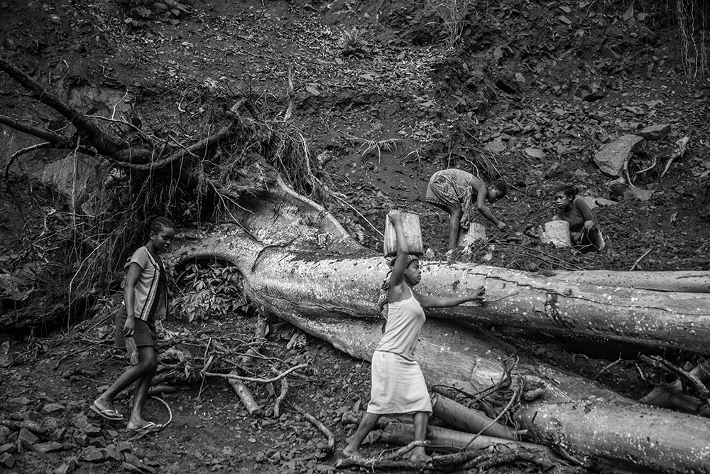 Felling tree and people_Pigment print_12x18in_2012