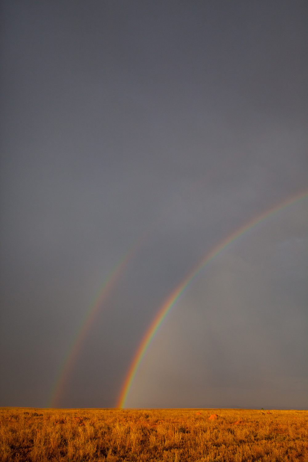 Analavelona_Pigment print_20x30in_2014