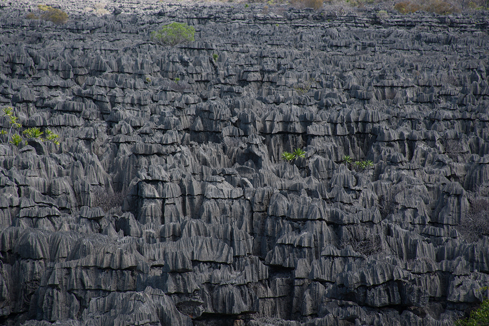 Ankarana Tsingy_Pigment print_12x18in_2014