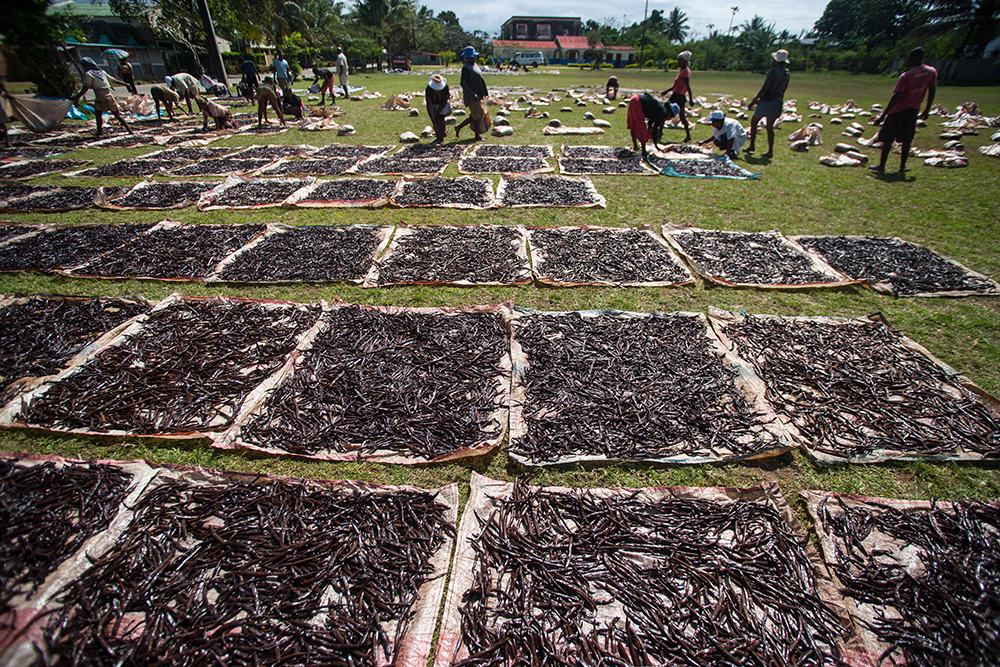 Dry Vanilla__Pigment print_12x18in_2012