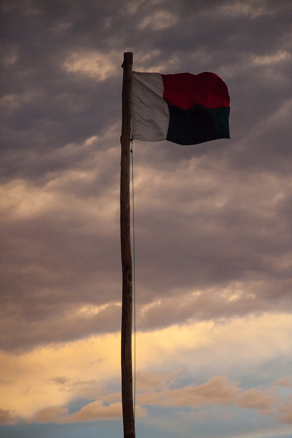 Flag_Pigment print_12x18in_2014