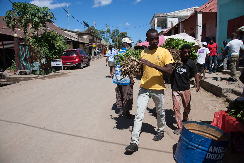 Katy collecter_Pigment print_12x18in_2014