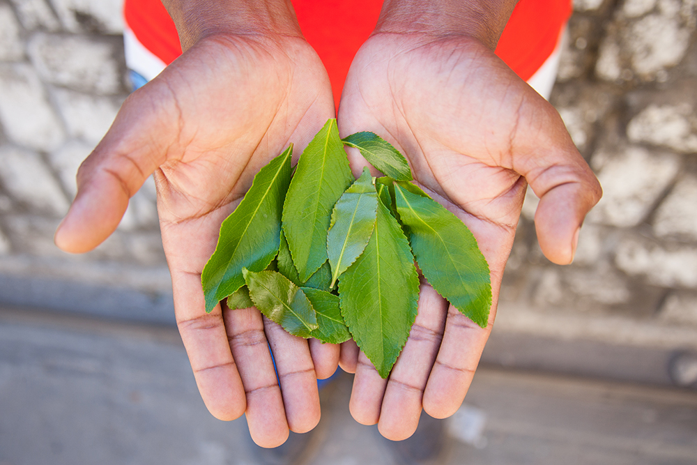 Katy_Pigment print_12x18in_2014