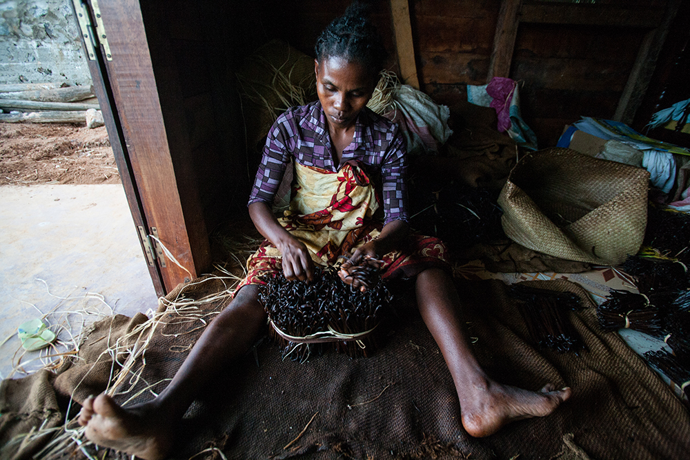 Vanilla Wroker__Pigment print_12x18in_2012