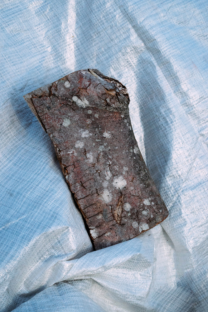 7-untitled, digital print, 50x70, 2015