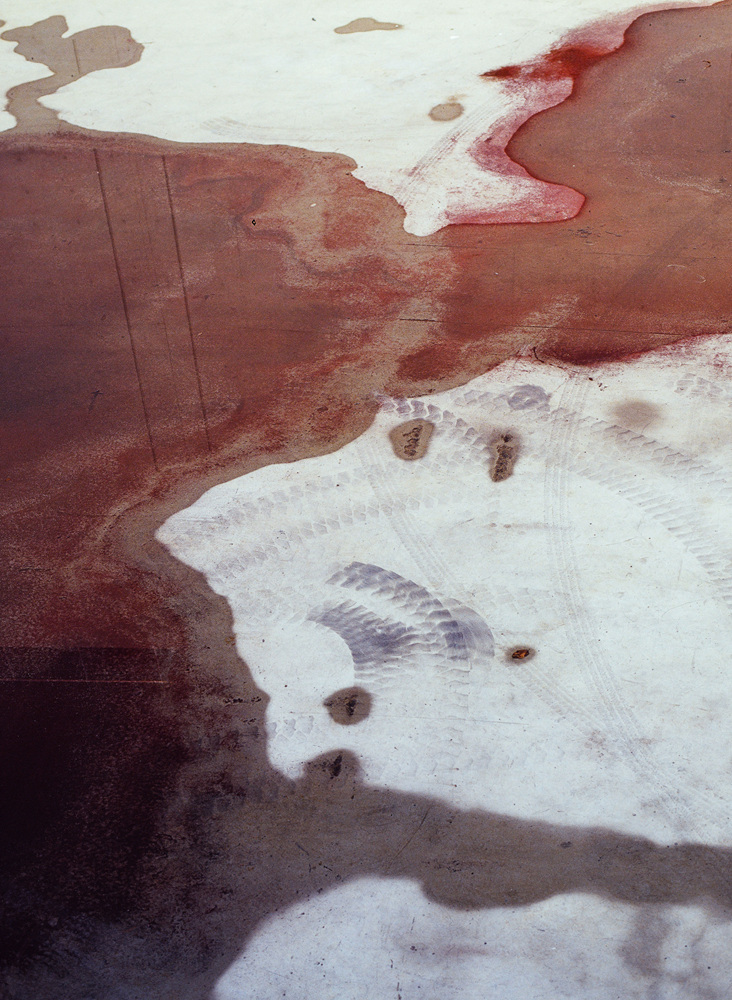 8-untitled, digital print, 120x163, 2015