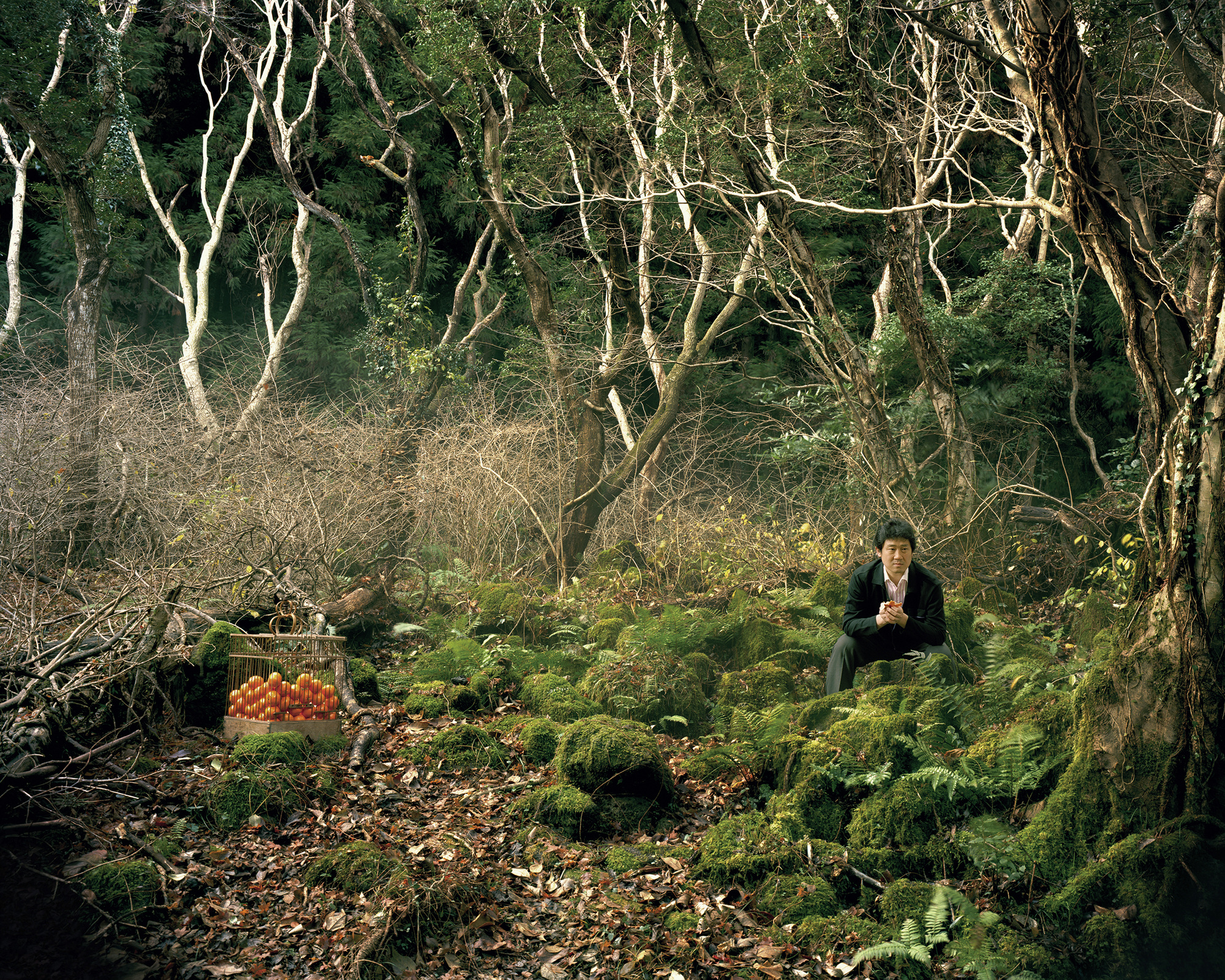 ⓒHyoung-Tae Lim, I see - 003, C-PRINT, 120cm X 150cm, 2010,