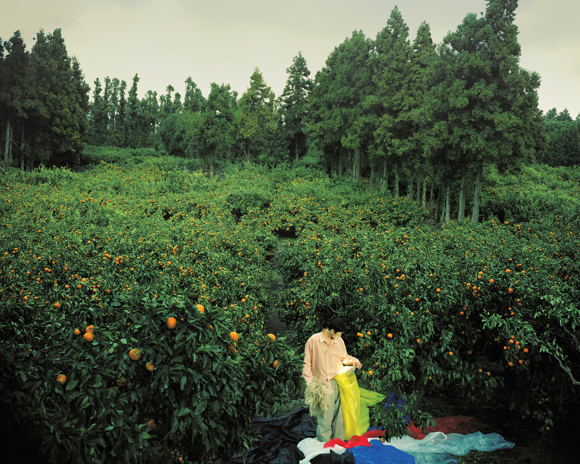 ⓒHyoung-Tae Lim, I see - 004, C-PRINT, 120cm X 150cm, 2010,