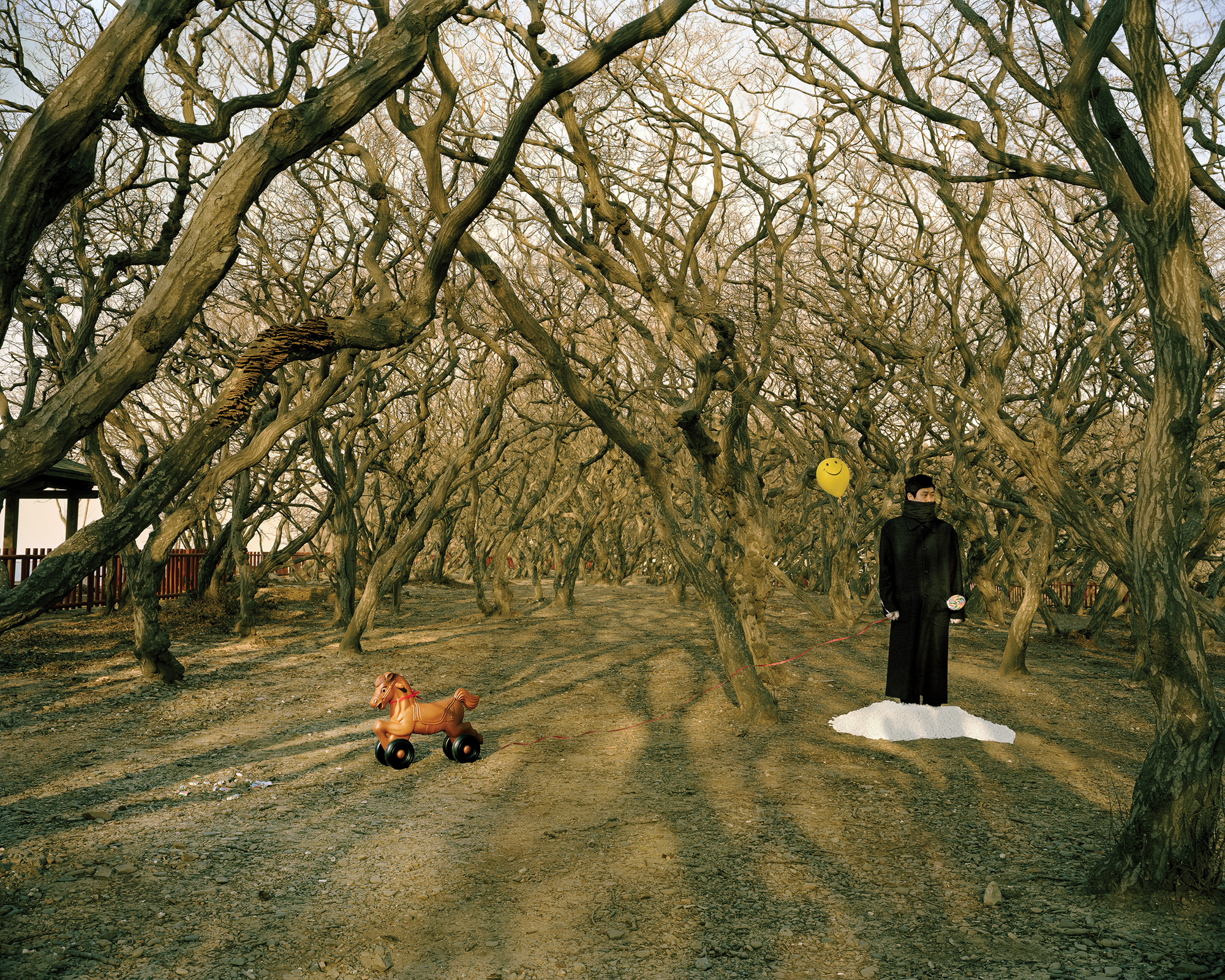 ⓒHyoung-Tae Lim, I see - 010, C-PRINT, 120cm X 150cm, 2011,