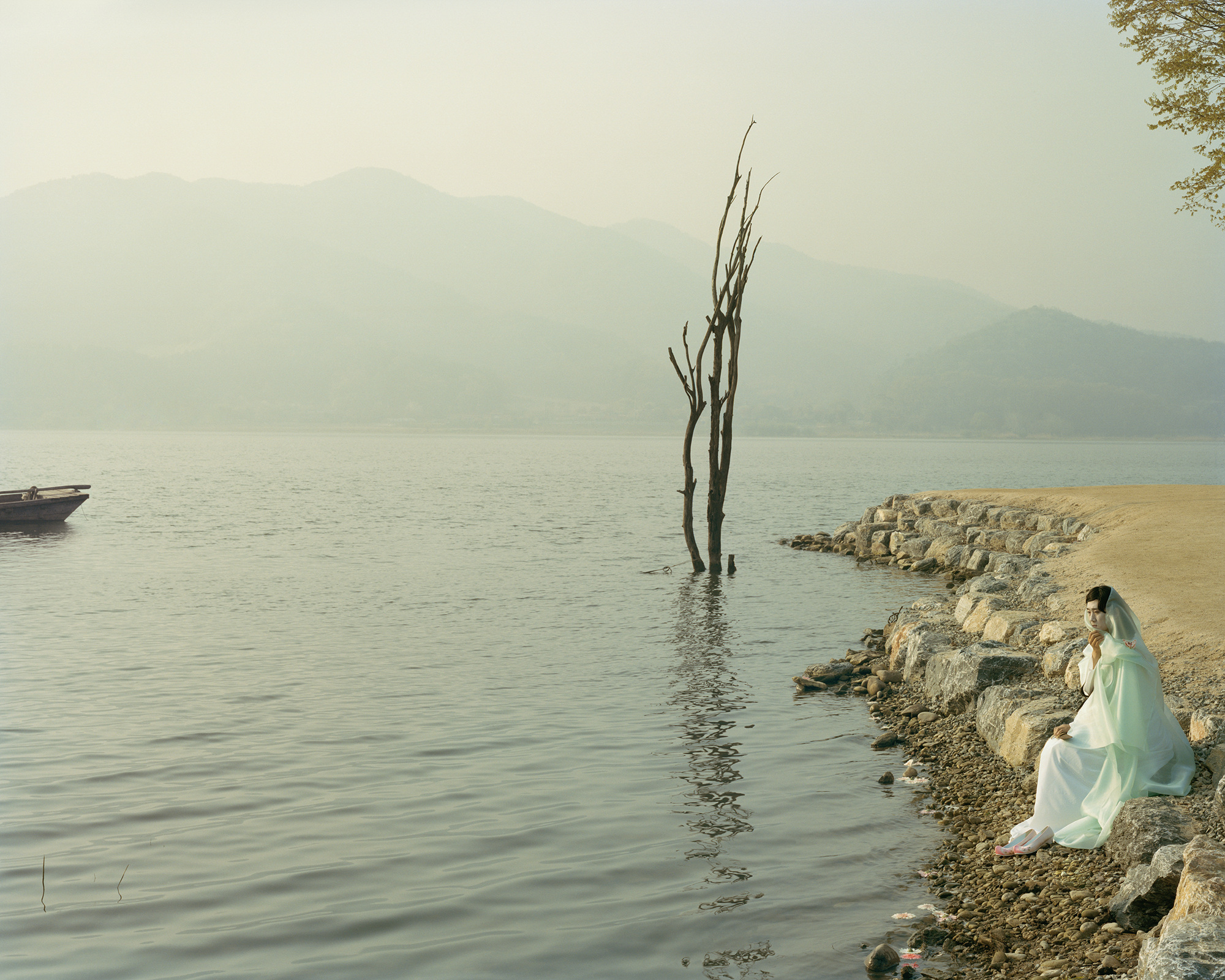 ⓒHyoung-Tae Lim, feel,, Baekilhong(zinnia) Story 180cm X 225cm 2013