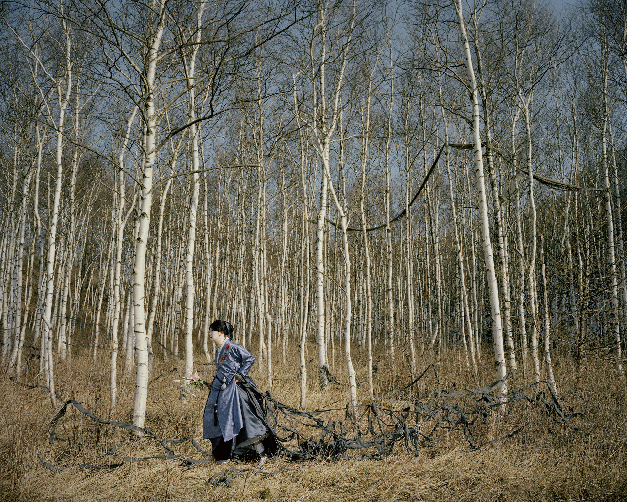 ⓒHyoung-Tae Lim, feel,, Bari Princess story 180cm X 225cm 2013