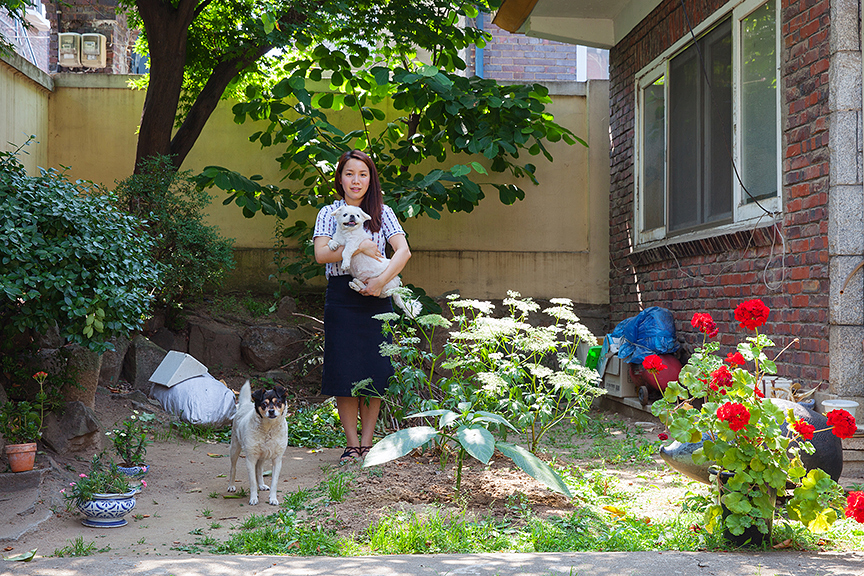경과 두부와 콩, 서울, 응암동, 2015