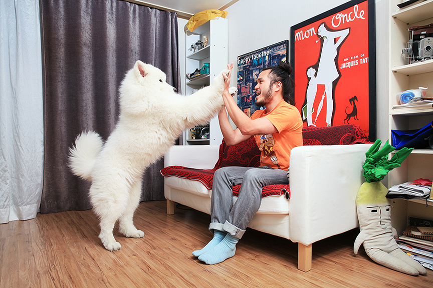 로버트와 두부, 서울, 한남동, 2014