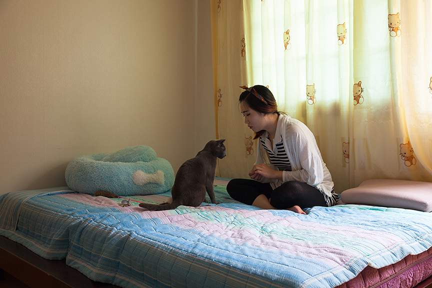 보나와 깐쵸, 경기도 분당, 2015