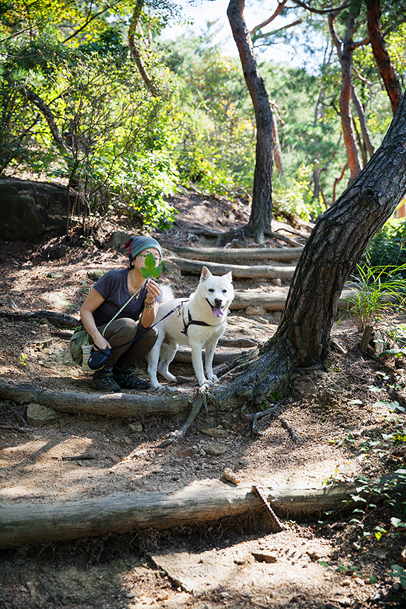 북 베이커와 단도, 서울, 한남동, 2014