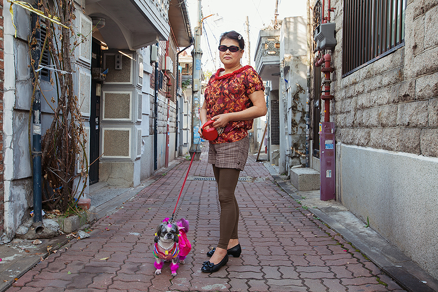 용인과 쭌이, 서울, 석관동, 2008