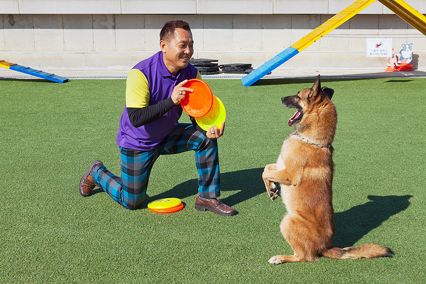 웅종과 조로, 경기도 일산, 2015