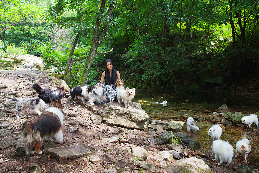 윤선과 16마리의 개들, 강원도 화천, 2015