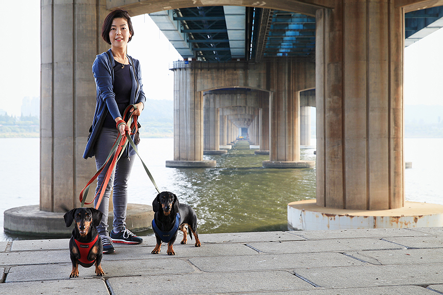 인지와 상추와 상큼이, 서울, 이촌동, 2014