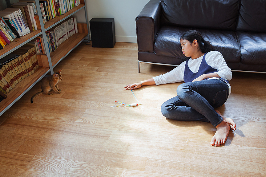 제인과 호두, 서울, 목동, 2015