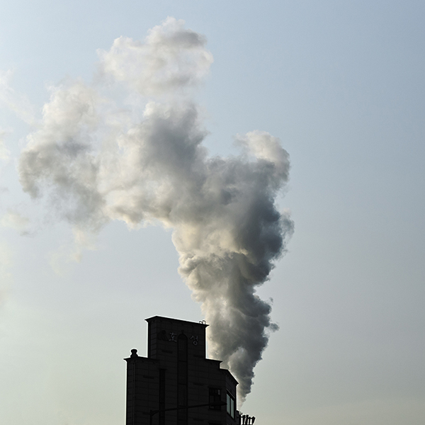 language of time_07,digital pigment print,50x50cm,2014