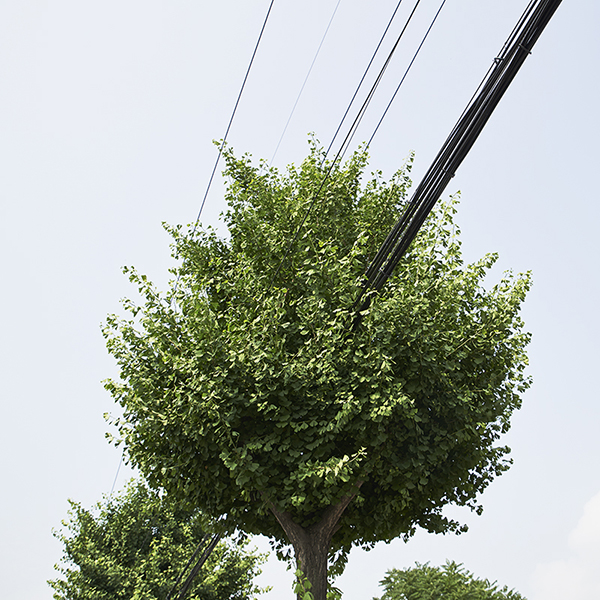 language of time_09,digital pigment print, 100x100cm,2013