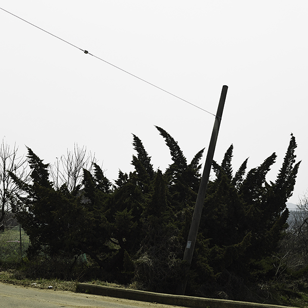 speaking of now_02,digital pigment print, 100x100cm,2013