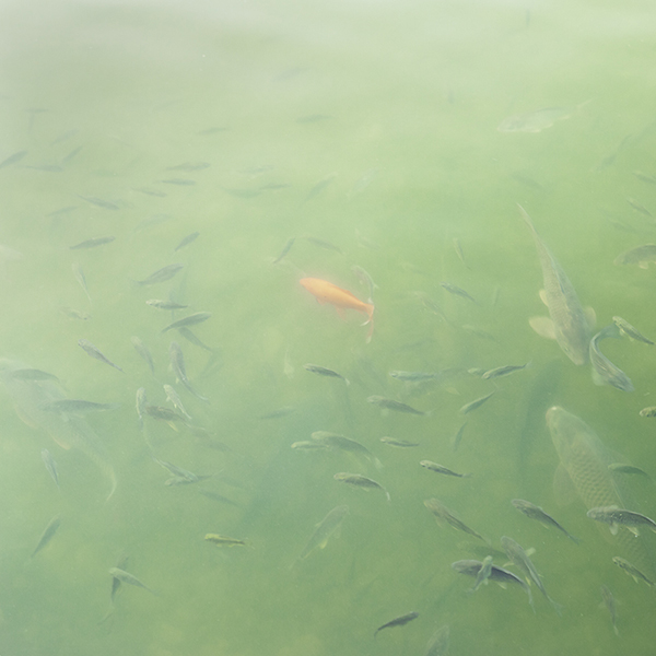 speaking of now_05,digital pigment print, 100x100cm,2012