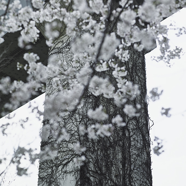 speaking of now_09,digital pigment print, 100x100cm,2013