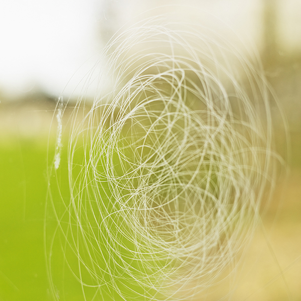 story within a story_22,digital pigment print, 50x50cm,2011