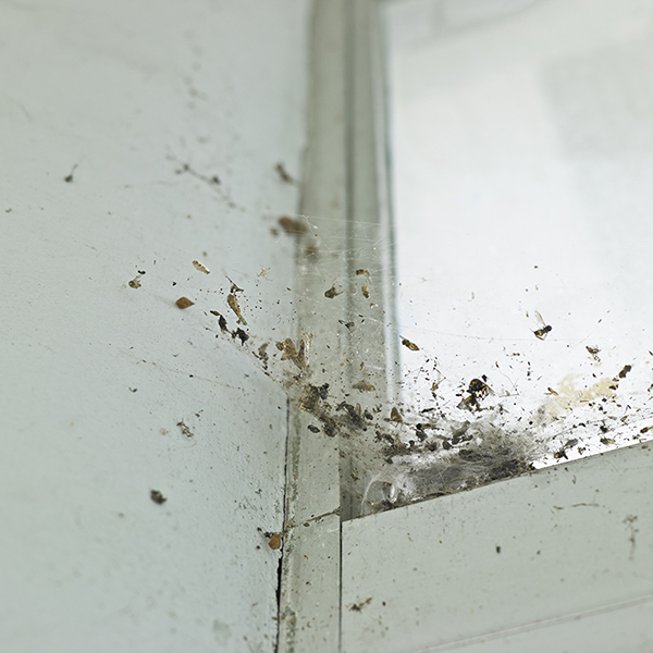 story within a story_25,digital pigment print, 50x50cm,2010