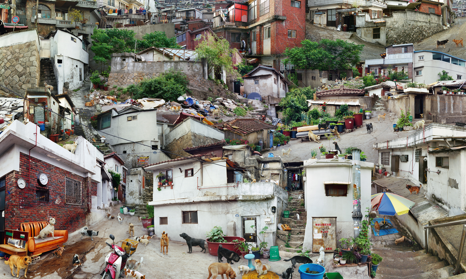 01. Tomorrow- 강아지마을, c-print, 120 x 200cm, 2008