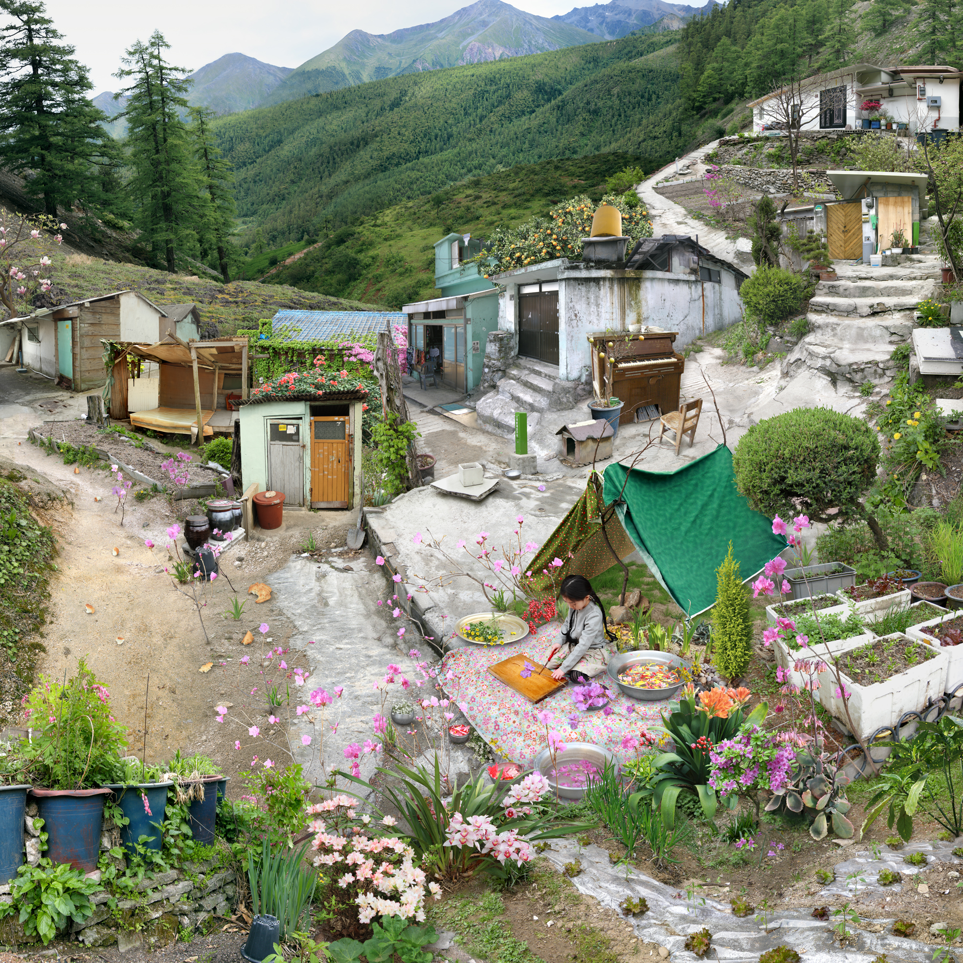 08.My Age of Seven - Azalea Boiled Rice and Chrysanthemum Soup