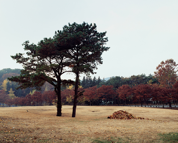 16. 산, 라이트 젯 프린트, 79x98cm, 2013