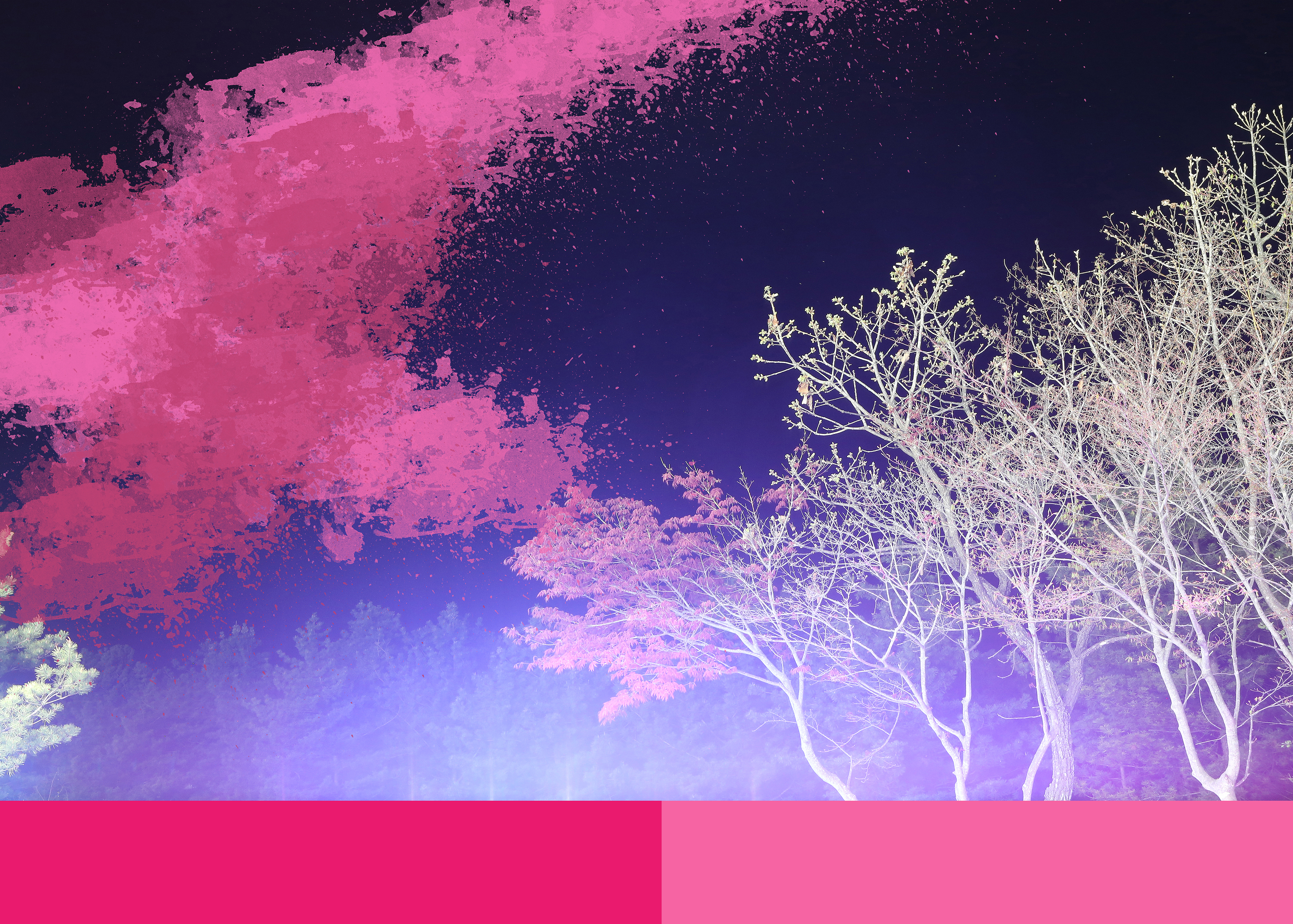 Color of Yeongwol#2-1, 홍지윤,2016