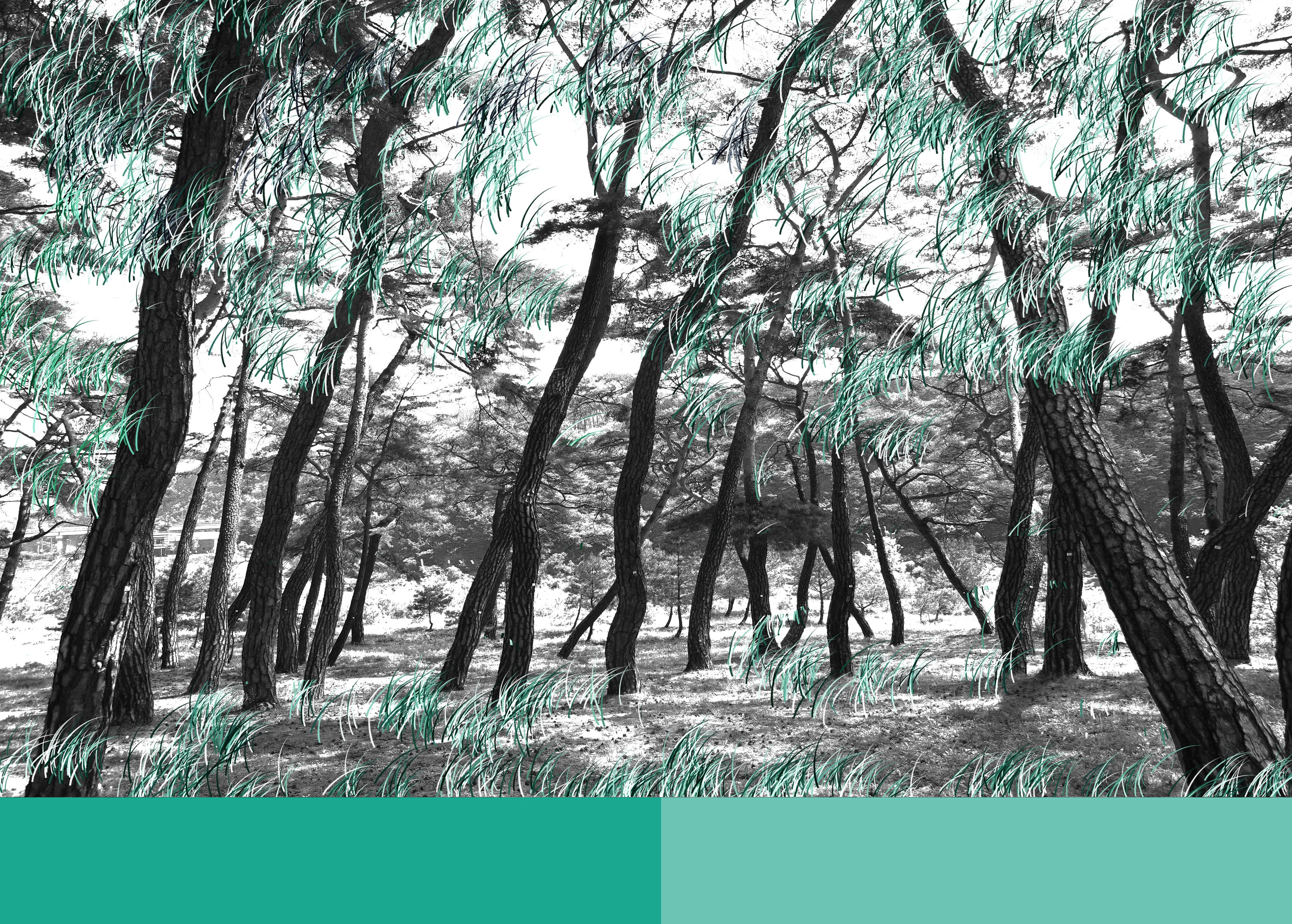 Color of Yeongwol#2-3, 홍지윤,2016