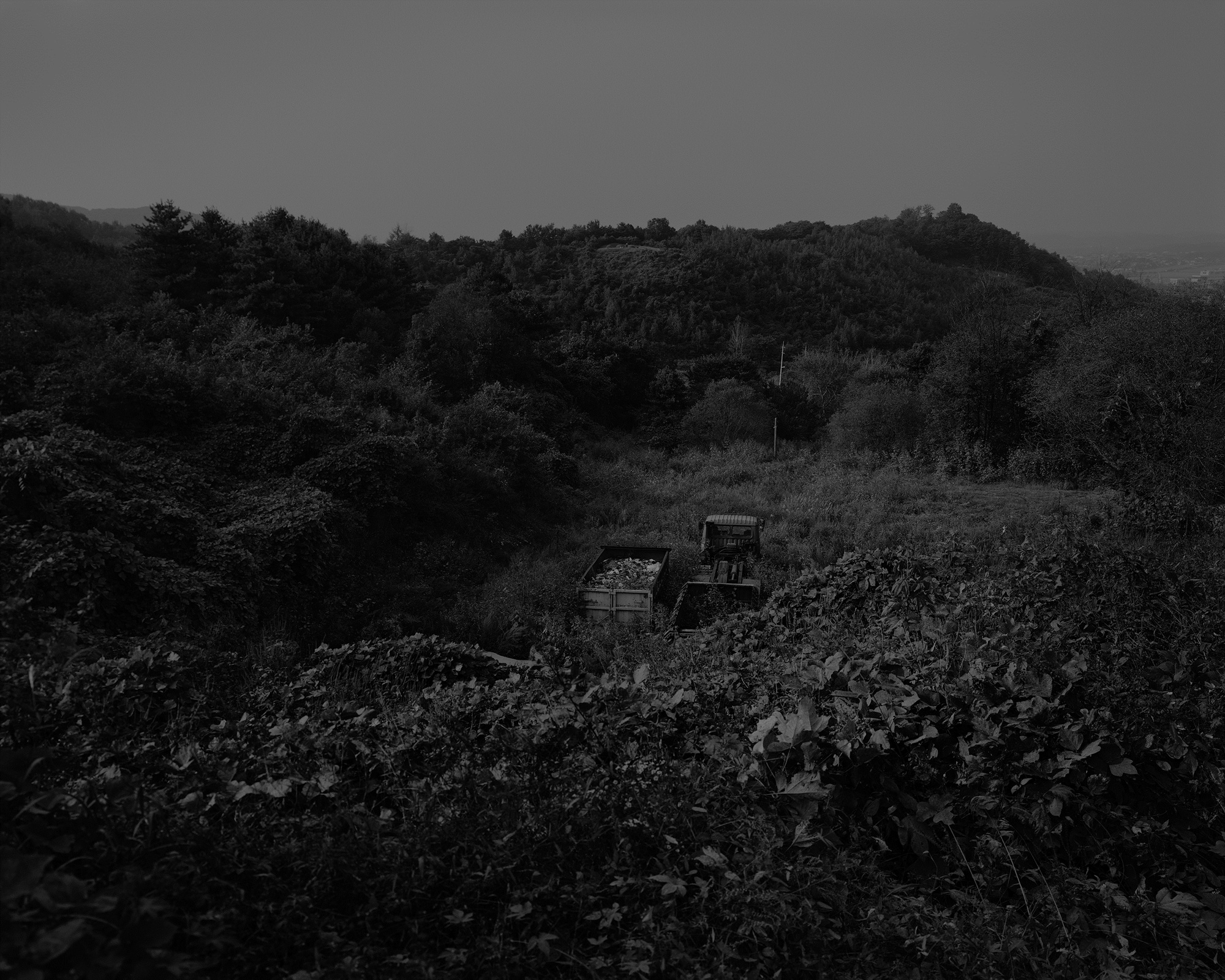 01_The white shade in backyard_Yuncheon_Archival Pigment Print_131.25 x 105 cm_Gun Young Lee_2009