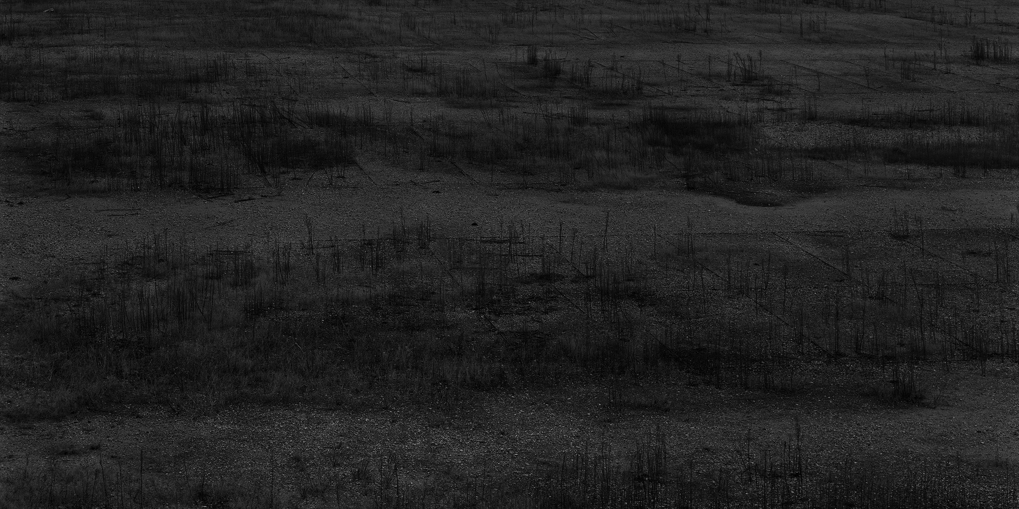 06_The white shaded backyard_Ilsan_Archival Pigment Print_200 x 100 cm_Gun Young Lee_2008