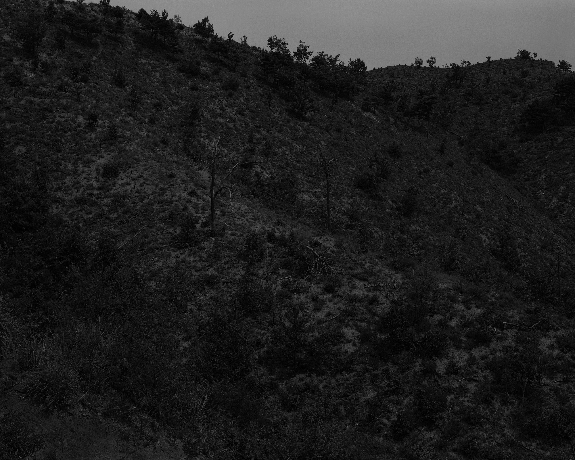 19_The white shaded backyard_Donghae_Archival Pigment Print_131.25 x 105 cm_Gun Young Lee_2009