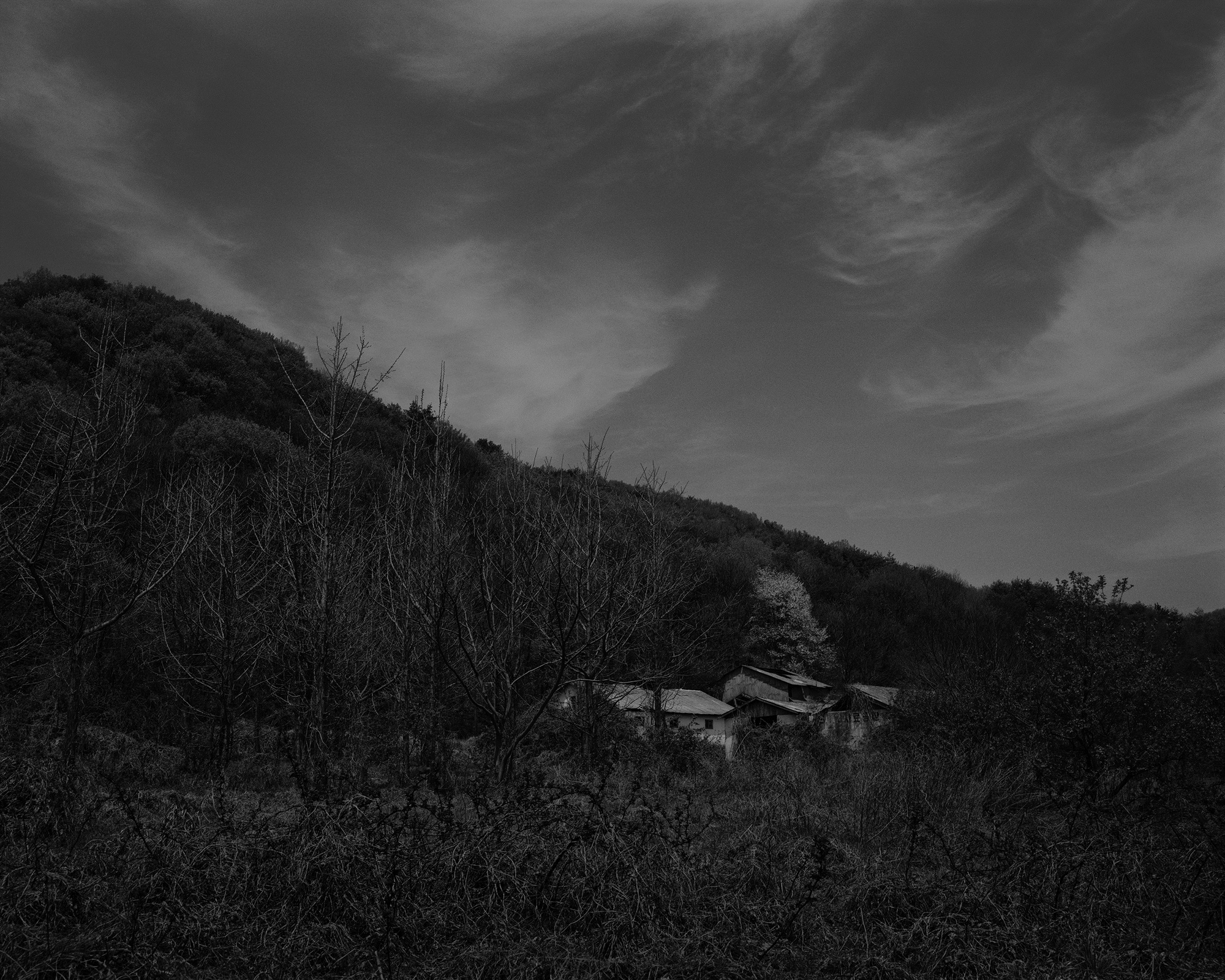 28_The white shade in backyard_Gyeongju_Archival Pigment Print_131.25 x 105 cm_Gun Young Lee_2013