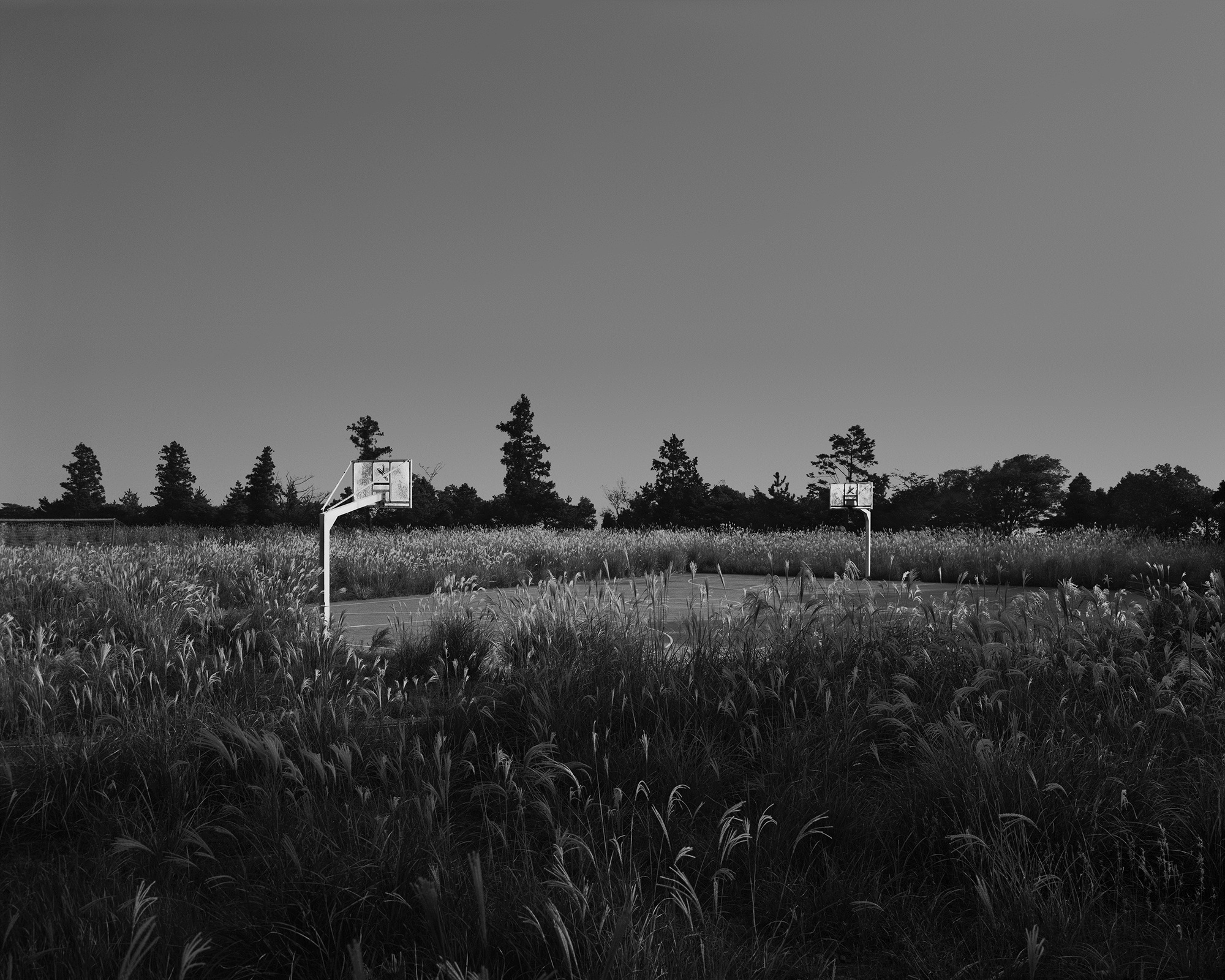 41_The white shaded backyard_Jeju_Archival Pigment Print_131.25 x 105 cm_Gun Young Lee_2013