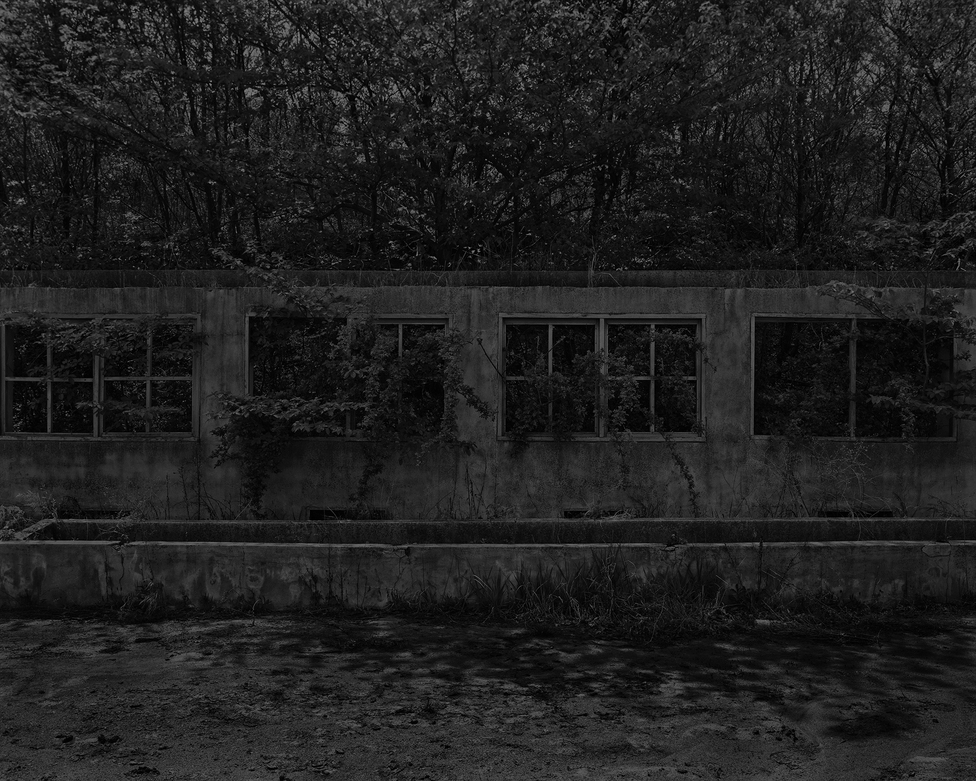 49_The white shaded backyard_Gyeongju_Archival Pigment Print_70 x 56 cm_Gun Young Lee_2013