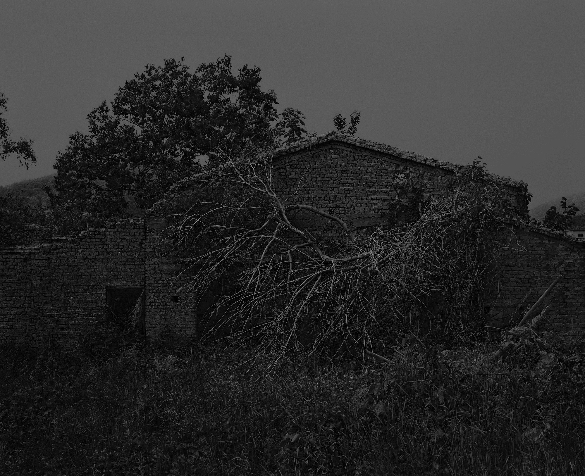 50_The white shaded backyard_Gyeongju_Archival Pigment Print_70 x 56 cm_Gun Young Lee_2013